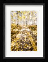 Road To Fall Fine Art Print