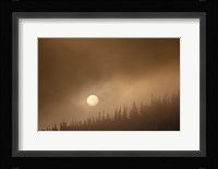 Wild Moon II Fine Art Print