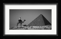 Looking Back Framed Print