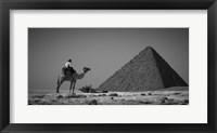 Looking Back Framed Print