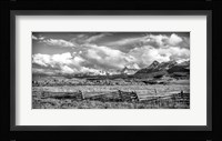 Colorado Fields Fine Art Print