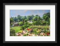 Garden 1 Fine Art Print