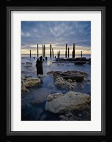 Sentinals Fine Art Print