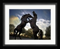 Stallions Fine Art Print