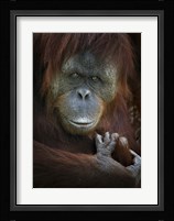 Emotion Fine Art Print