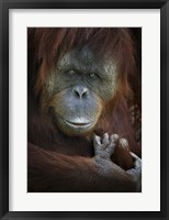 Emotion Fine Art Print