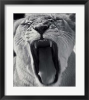 An Attack Fine Art Print