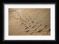 Crossing Paths Fine Art Print