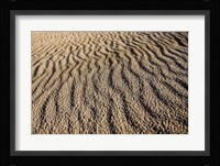 Canunda National Park Fine Art Print