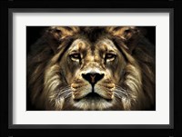 The Lion Fine Art Print