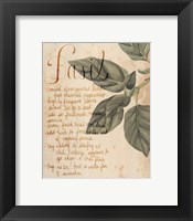 Herb Study I Fine Art Print