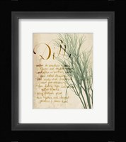 Herb Study II Framed Print