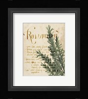 Herb Study IV Framed Print