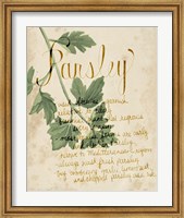 Herb Study V Fine Art Print