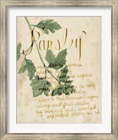 Herb Study V Fine Art Print