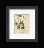 Herb Study V Fine Art Print