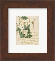 Herb Study V Fine Art Print