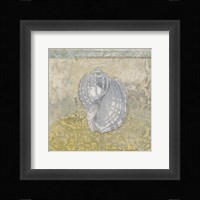 Coastal Cameo III Framed Print
