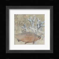 Coastal Cameo IV Framed Print