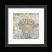 Coastal Cameo V Framed Print