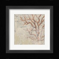 Coastal Cameo VI Framed Print