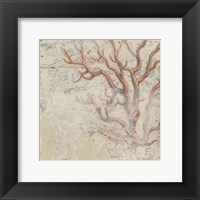 Coastal Cameo VI Framed Print