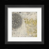 Coastal Cameo IX Framed Print