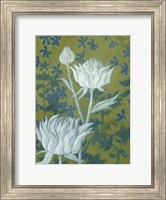 Wild Chrysanthemums II Fine Art Print
