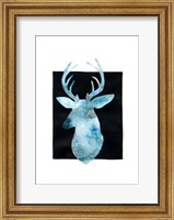 White Tail Bust II Fine Art Print