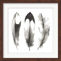 Watercolor Feathers II Fine Art Print