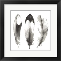 Watercolor Feathers II Framed Print
