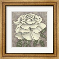 Silver Rose II Fine Art Print