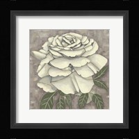 Silver Rose II Framed Print