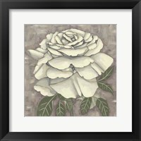 Silver Rose II Fine Art Print