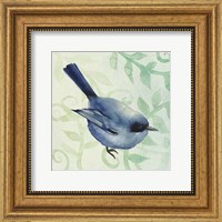 Little Bird I Fine Art Print