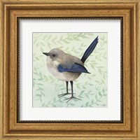 Little Bird III Fine Art Print