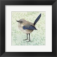 Little Bird III Fine Art Print