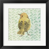 Little Bird IV Fine Art Print