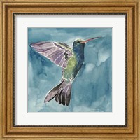 Watercolor Hummingbird I Fine Art Print