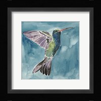 Watercolor Hummingbird I Framed Print