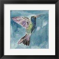 Watercolor Hummingbird I Fine Art Print