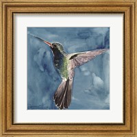 Watercolor Hummingbird II Fine Art Print