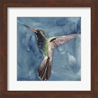 Watercolor Hummingbird II Fine Art Print