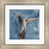 Watercolor Hummingbird II Fine Art Print