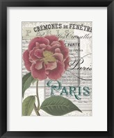 Musical Paris III Fine Art Print