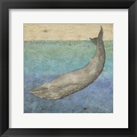 Diving Whale I Framed Print