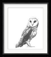 Wildlife Snapshot: Owl Fine Art Print