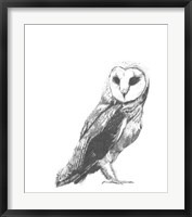 Wildlife Snapshot: Owl Fine Art Print