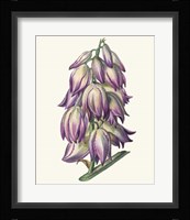 Adam's Needle I Framed Print