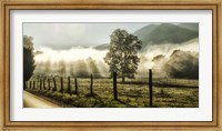 Sunrise in Cades Cove Fine Art Print